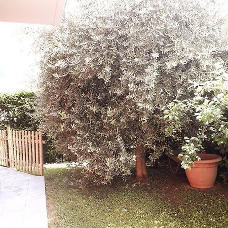 Beb Ulivo Bed & Breakfast Santa Giuletta Ngoại thất bức ảnh
